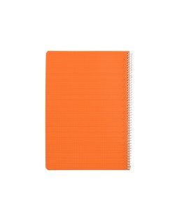 Cuaderno espiral liderpapel a4 pautaguia tapa plastico 80h 90gr cuadro pautado 4mm con margen color naranja