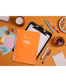 Cuaderno espiral liderpapel a4 pautaguia tapa plastico 80h 90gr cuadro pautado 4mm con margen color naranja