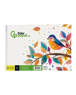 Bloc dibujo liderpapel escolar espiral 230x325mm 20 hojas 90 gr/m2 sin recuadro