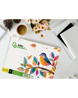Bloc dibujo liderpapel escolar espiral 230x325mm 20 hojas 90 gr/m2 sin recuadro