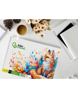 Bloc dibujo liderpapel escolar espiral 230x325mm 20 hojas 90 gr/m2 con recuadro