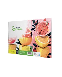 Bloc dibujo liderpapel artistico frutal espiral 230x325 mm 20 hojas 130g/m2 sin recuadro perforado