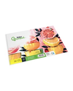 Bloc dibujo liderpapel artistico frutal espiral 230x325 mm 20 hojas 130g/m2 sin recuadro perforado