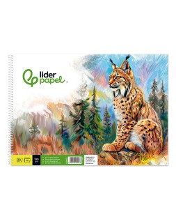 Bloc dibujo liderpapel artistico natura espiral 230x325mm 20 hojas 130g/m2 sin recuadro perforado