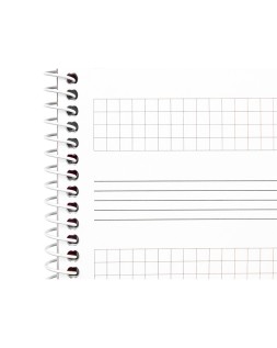 Bloc musica liderpapel combi pentagrama 3mm mas cuadricula de 4mm para anotaciones cuarto20 hojas 100g/m2