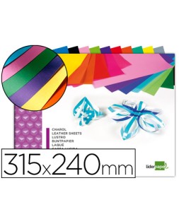 Bloc trabajos manuales liderpapel charol 240x315mm 10 hojas colores surtidos