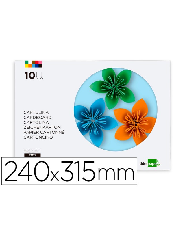 Bloc trabajos manuales liderpapel cartulina 240x315mm 10 hojas 5 colores neon + 5 colores intensos