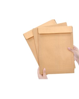 Sobre liderpapel bolsa armado kraft envio seguridad 260x360 mm solapa tira de silicona 120 gr caja de 100 unidades