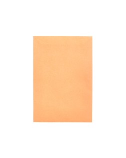 Sobre liderpapel bolsa n.0 cel caña salarios 100x145mm tira silicona caja de 1000 unidades