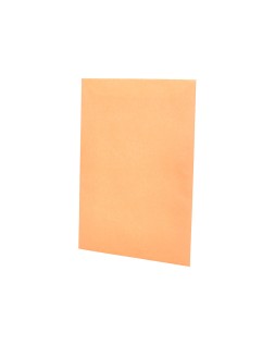 Sobre liderpapel bolsa n.0 cel caña salarios 100x145mm tira silicona caja de 1000 unidades