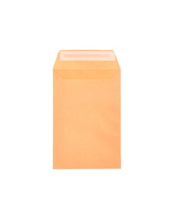 Sobre liderpapel bolsa n.0 cel caña salarios 100x145mm tira silicona caja de 1000 unidades