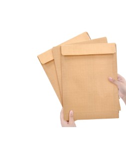 Sobre liderpapel bolsa n.5 kraft din c5 162x229 mm tira de silicona caja de 250 unidades