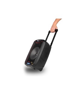 Altavoz ngs bluetooth wild samba portatil 30w con microfono con cable bateria y luces led micro usb usb aux