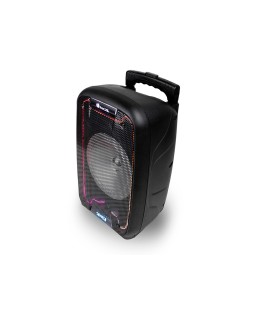 Altavoz ngs bluetooth wild samba portatil 30w con microfono con cable bateria y luces led micro usb usb aux