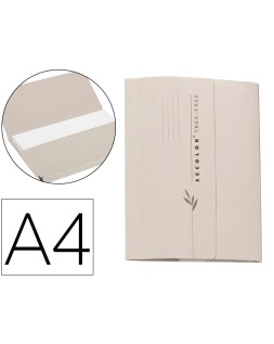 Subcarpeta cartulina djois...