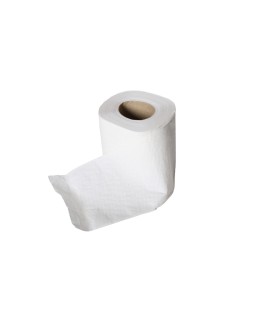 Papel higienico lucart ecologico 17 g 2 capas 20 m mandril 45 mm paquete de 12 rollos