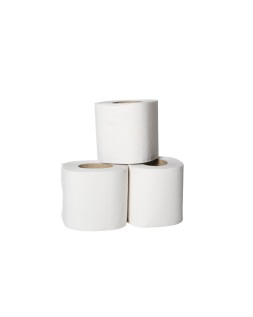 Papel higienico lucart ecologico 17 g 2 capas 20 m mandril 45 mm paquete de 12 rollos