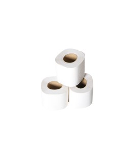 Papel higienico lucart ecologico 17 g 2 capas 20 m mandril 45 mm paquete de 12 rollos