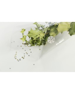 Papel de regalo film transparente rollo 3x0,70