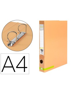 Carpeta de 2 anillas 25 mm...
