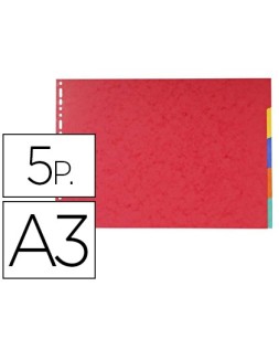 Separador exacompta...