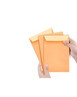 Sobre liderpapel bolsa n.0 cel caña salarios 100x145mm tira silicona caja de 1000 unidades