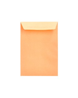 Sobre liderpapel bolsa n.0 cel caña salarios 100x145mm tira silicona caja de 1000 unidades