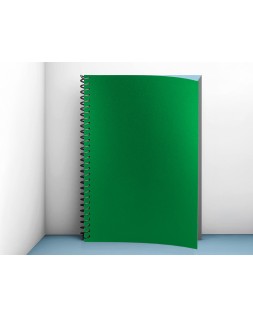 Tapa encuadernacion liderpapel polipropileno a4 0.5mm verde opaco paquete de 100 unidades