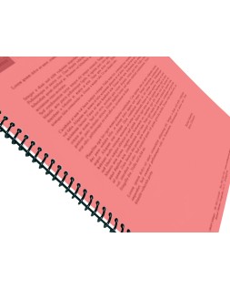 Tapa encuadernacion liderpapel polipropileno a4 0.5 mm rojo translucido paquete de 100 unidades