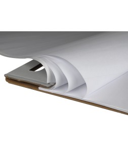 Bloc congreso liderpapel liso 630x840 mm 50 hojas 80 g