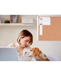 Pizarra corcho q-connect marco de aluminio 200x100 cm extra corcho 5 mm