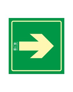 Pictograma syssa señal de via de evacuacion en pvc fotoluminiscente 210x210 mm