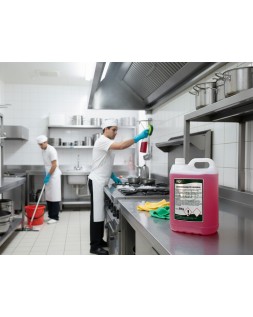 Limpiador desengrasante multiusos dahi garrafa 5 litros