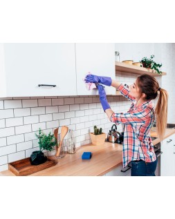 Limpiador desinfectante sanytol para cocinas con pistola pulverizadora bote de 750 ml