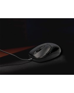 Raton q-connect optico 800 dpi usb 1,5 ghz negro con cable