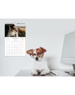 Calendario espiral pared liderpapel imagenes gatos 2026 para escribir 25x40 cm papel 157 g