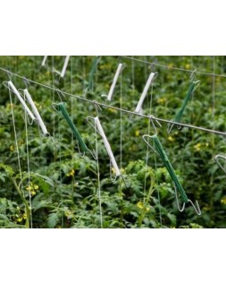 Cuerda rafia liderpapel color blanco rollo de 600 m