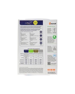 Papel fotocopiadora color copy din a3 100 gramos paquete de 500 hojas