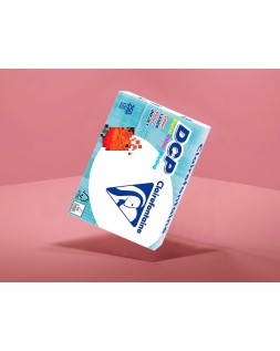 Papel fotocopiadora clairefontaine din a4 250 gramos paquete de 125 hojas