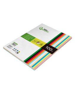 Papel color liderpapel a4 80gr 10 colores surtidos paquete de 100 hojas