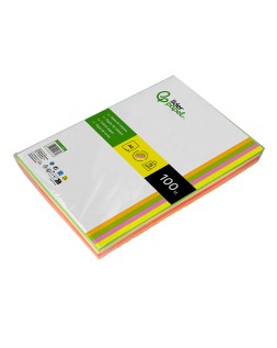 Papel color liderpapel din a4 75 gr neon 4 colores surtidos paquete de 100 hojas