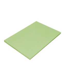 Papel color liderpapel a4 80gr verde intenso paquete de 100 hojas