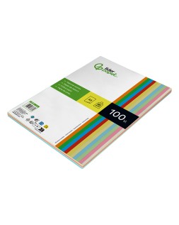 Papel color liderpapel a3 80gr 10 colores surtidos paquete 100 hojas