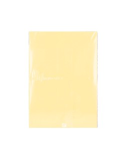 Papel color q-connect din a3 80gr champagne paquete de 500 hojas