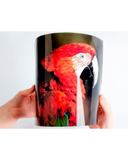 Papel q-connect foto glossy kf02163 din a4 alta calidad digital photo para ink-jet bolsa de 20 hojas de 260 gr