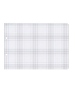 Recambio liderpapel cuarto apaisado 100 hojas 60gr cuadro 4 mm 2 taladros con margen