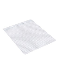 Recambio liderpapel cuarto apaisado 100 hojas 60gr cuadro 4 mm 2 taladros con margen
