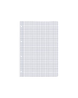 Recambio liderpapel a4 100 hojas 60gr cuadro 3 mm con margen 4 taladros