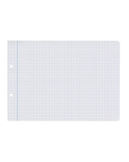 Recambio liderpapel cuarto apaisado 100 hojas 60gr cuadro 3 mm 2 taladros con margen