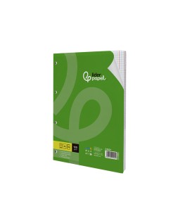 Recambio liderpapel a4 100 hojas 100gr cuadro 5mm con doble margen 4 taladros